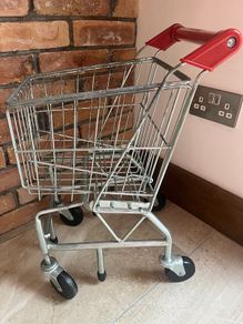 Kids realShopping trolley