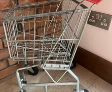 Kids realShopping trolley