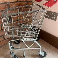 Kids realShopping trolley
