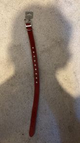 Spiked choker collar