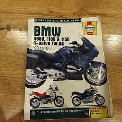 haynes