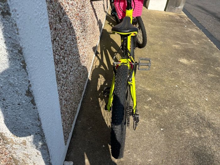 Orbea mountain bike