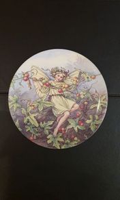 Wedgwood Bone China World of Fairies Plate