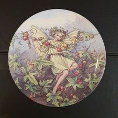 Wedgwood Bone China World of Fairies Plate