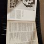 Grainne Yeats Feile na gCruitiri Beal Feirste 1792 2lp Gael-linn Image 2