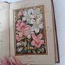 language of poetry of flowers antique book Image 6