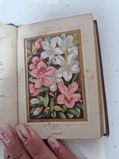 language of poetry of flowers antique book