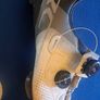 Shimano RC3 Road Shoes  Shimano RC5 cycling shoes  Shimano RC7  Road Image 5