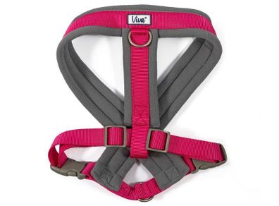 Viva Padded Harness. Size: Large