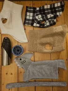 Premium bundle of H and M dog accessories in excellent condition. Perfect for a small dog.