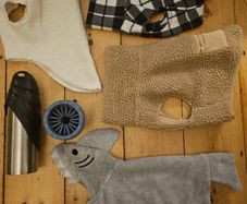 Premium bundle of H and M dog accessories in excellent condition. Perfect for a small dog.