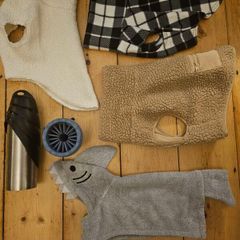 Premium bundle of H and M dog accessories in excellent condition. Perfect for a small dog.