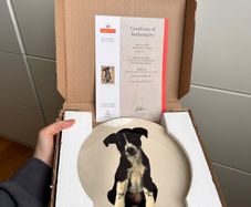 Full Set of 4 Royal Doulton / Royal Mail Plates - RSPCA Limited Edition