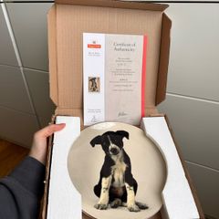 Full Set of 4 Royal Doulton / Royal Mail Plates - RSPCA Limited Edition