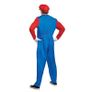 Super Mario Bros Brothers Costume Cosplay Fancy Dress Outfit Halloween Carnival Unisex Mens Women Adult Teens New with Hat and Mustache Image 3