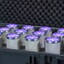 Ape Lab Long Life Battery Powered Lights Image 2
