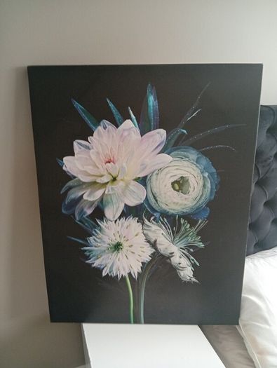canvas