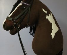 hobby horse
