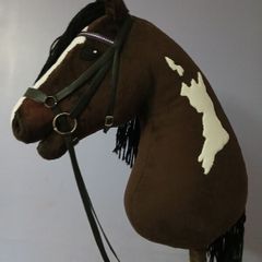 hobby horse