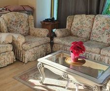 Free Sofa 3 +1 +1