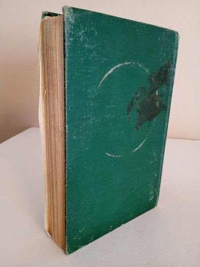 My New Curate: A Story Gathered from the Stray Leaves of an Old Diary by Rev. P. A. Sheehan (GT584)