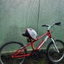 Bikes Image 5
