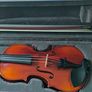 1/2 size Eastman Westbury violin outfit Image 2