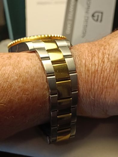 Mens Pagani Design Automatic Self Winding Dive Watch. Bargain Price