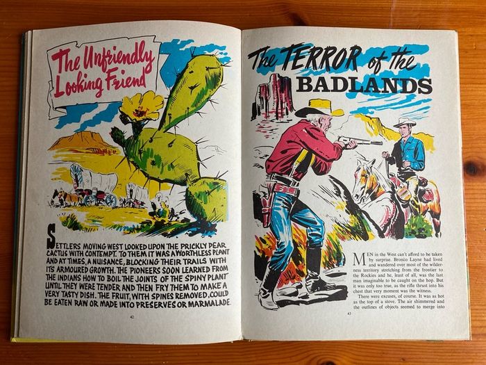 'Bronco Layne' annual 1964