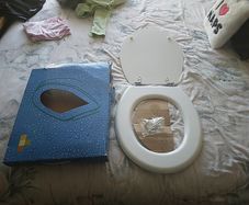 Toilet Seat