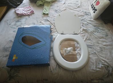 Toilet Seat