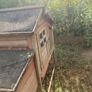 chicken coup and enclosure Image 2