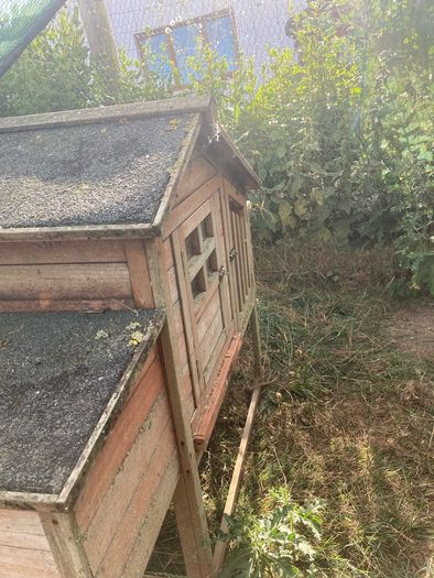 chicken coup and enclosure
