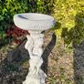 Large Bird Bath - New - 85 Image 3