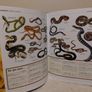The Big Book Of Animals, Children,s Encyclopedia book Image 8