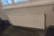 Free Radiator (2)
