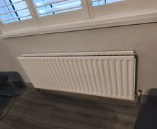 Free Radiator (2)