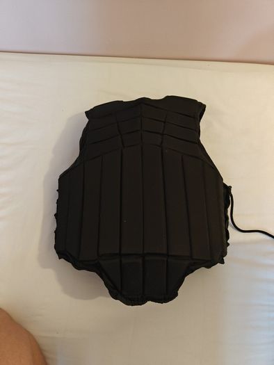 Equestrian back protector