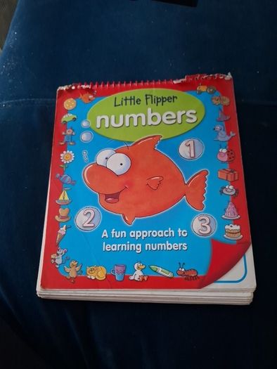 Little Flipper Numbers Book