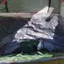 Quick pup up tent Image 3