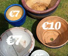 ceramic plant pot(s)