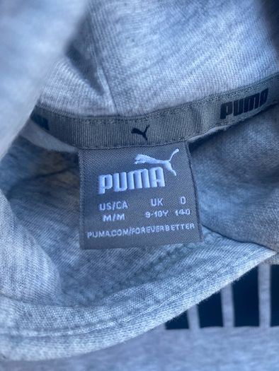 Kids Grey Puma Hoodie