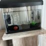 fish tank Image 2