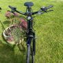 electric bike Image 3
