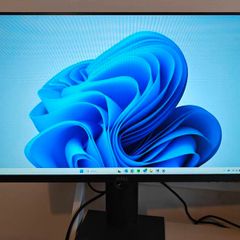Dell 24" Monitor