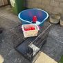 Dog Training Crate ,Bed and 8 Feeding Kongs Image 4