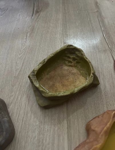 Bundle of Reptile Acessories Feeding Bowls