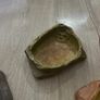 Bundle of Reptile Acessories Feeding Bowls Image 6