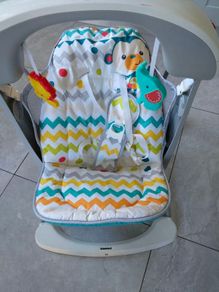 Fisher price baby swing