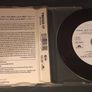 The Style Council - Promised Land - (1989) Image 2